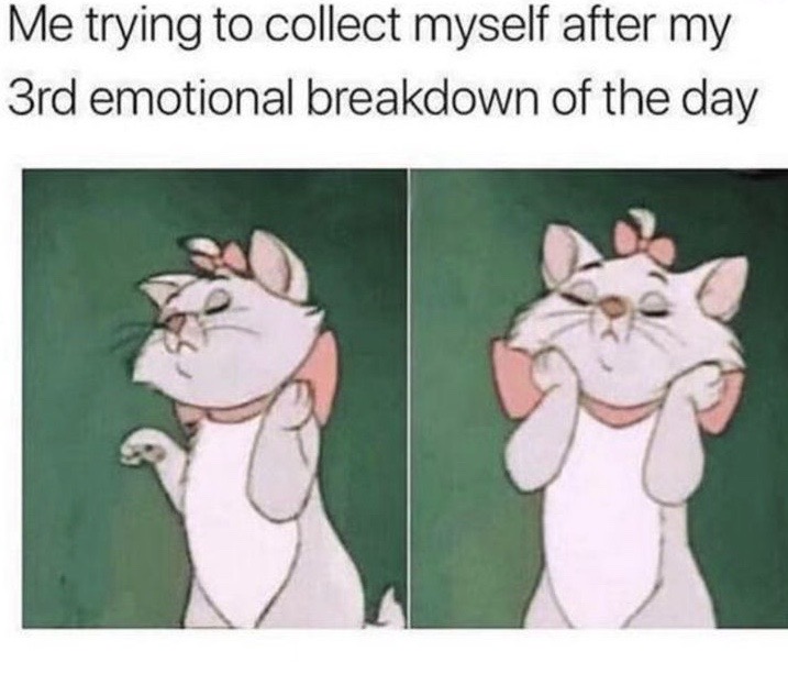 emotional health meme