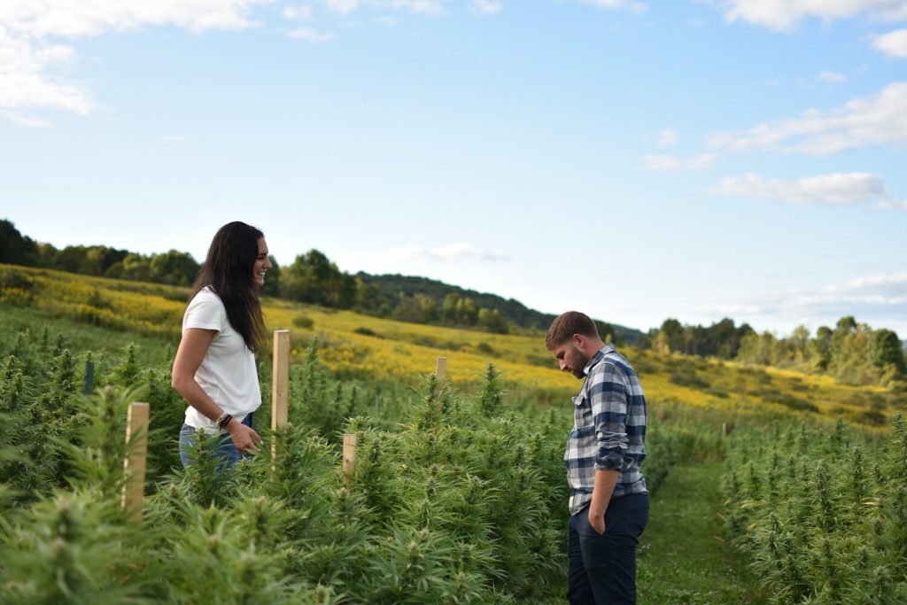 brittany and erik carbone tricolla-farms hemp