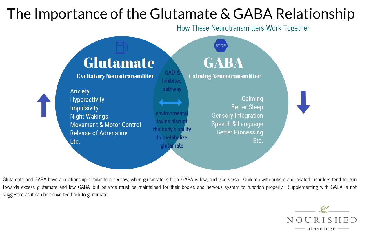 glutamate and gaba - the importance of their relationship in hangxiety and CBD via nourished blessings blog