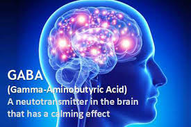 GABA effect in brain - GABA, alcohol, and anxiety