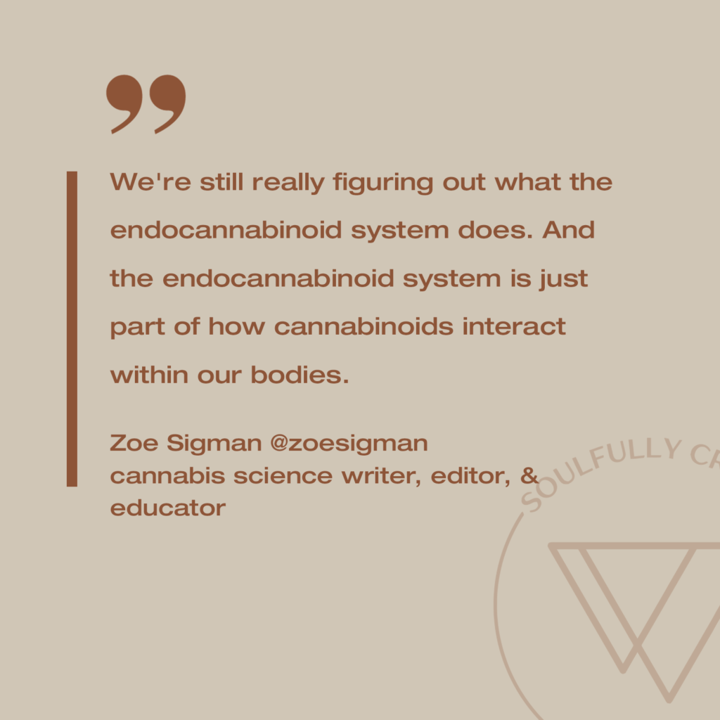 tonic cbd zoe sigman quote