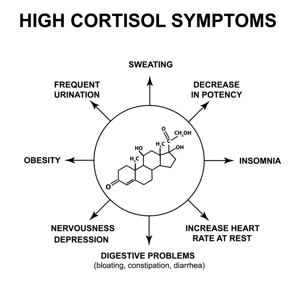 high-cortisol level signs and symptoms