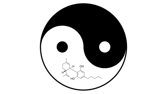 cbd molecule inside of a yin yang - homeostasis and the endocannabinoid system