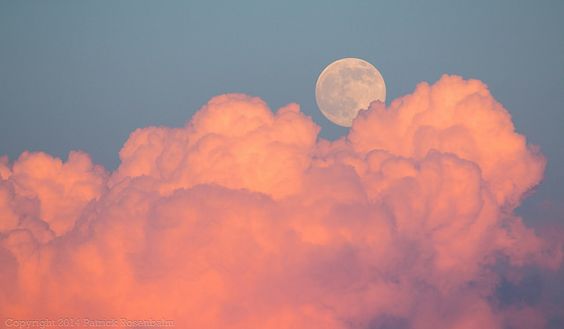pink sunset
