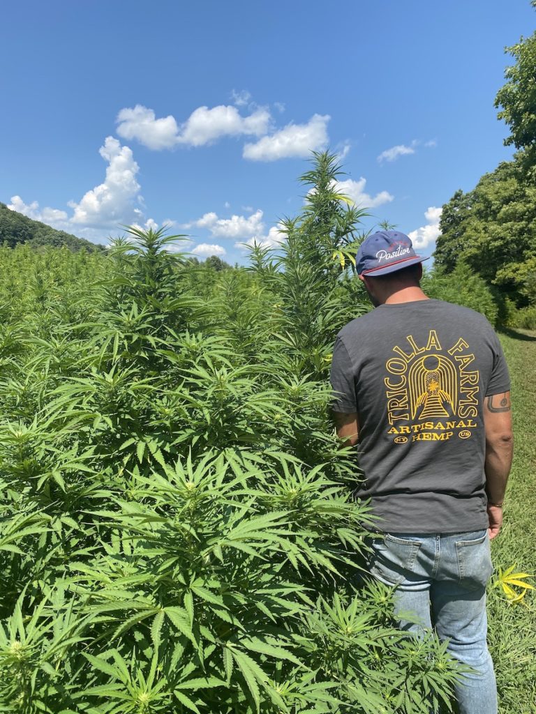 erik-carbone tricolla-farms hemp-farm