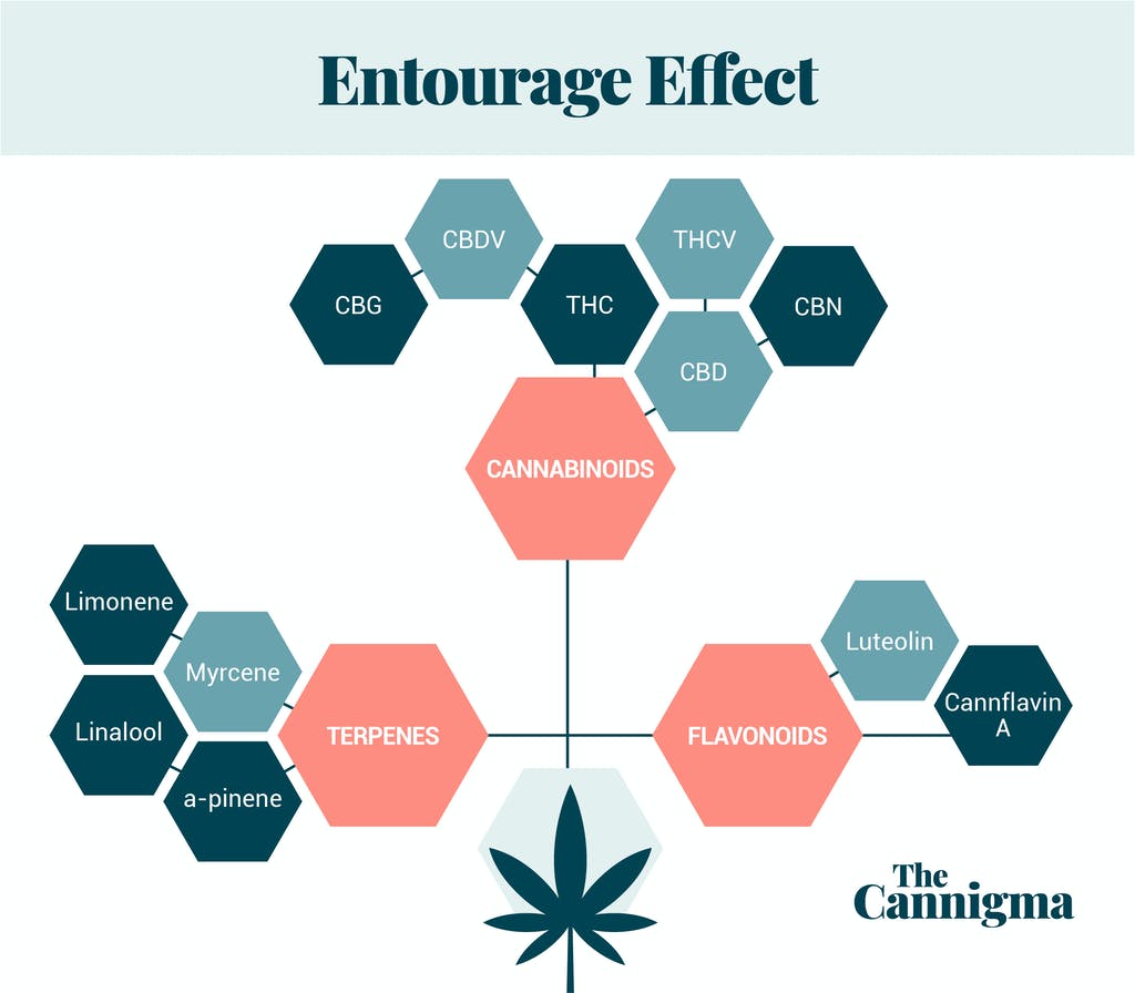 full spectrum CBD and the benefits of the entourage effect