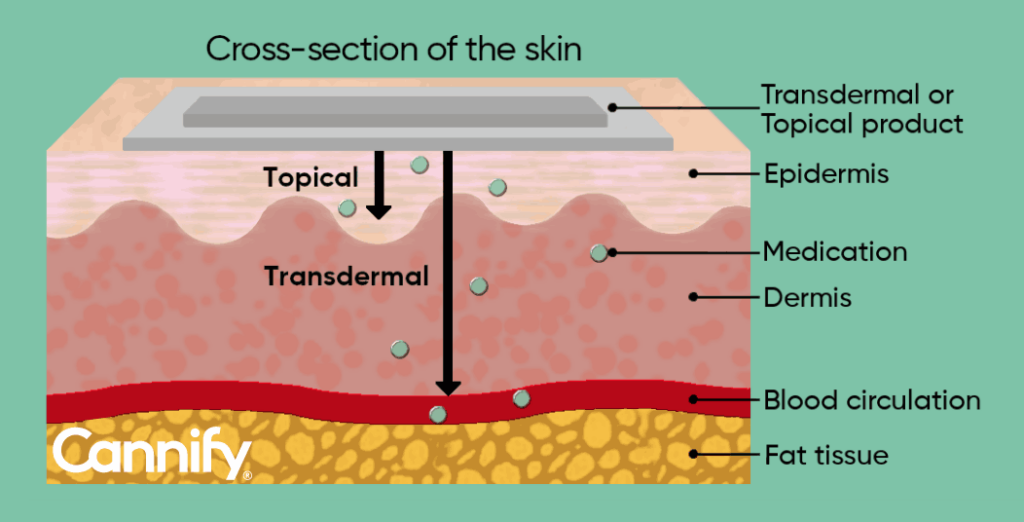 transdermal delivery