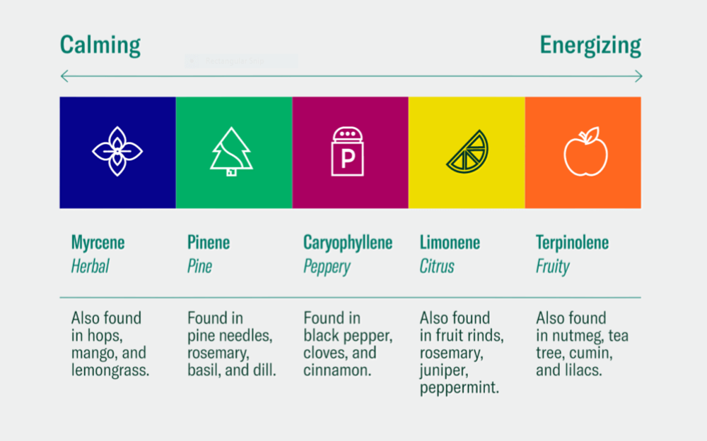 terpene chart of effects from calming to energizing